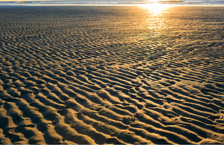 hilton head beach sand